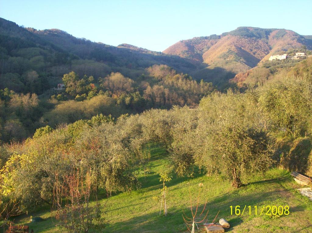 Apartmán La Casa Dei Limoni Matraia Exteriér fotografie
